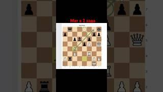 Мат в 2 хода. Отрывок с занятия. Запись chess777.com #chess777 #chess #шахматы #обучение #дети #топ