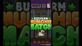 Bud Farm Munchie Match Level 379-384