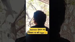 | जानवर | #movie ##mithun #ytshorts #trending