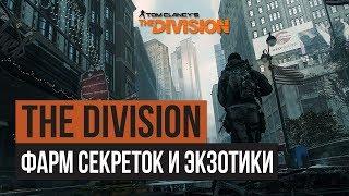 The Division | Быстрый фарм засекреченого шмота и экзотики без ГС