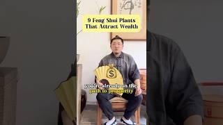 9 Feng Shui Plants That Attract Money#fengshui #lucky #energy #money #wealth #nature #garden #home