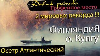 Fisher Online - Трофейное место. Финляндия о. Кулгу. Осетр Атлантический. 2 МИРОВЫХ ТРОФЕЯ С ТОЧКИ!!