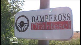 Dampfross und Drahtesel - Spannender Radweg in Niederösterreich