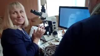 Канал Украина 24 - эксперимент в Пирамиде
