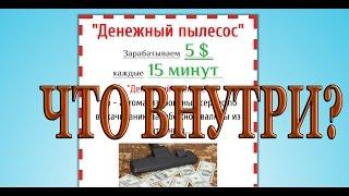 Денежный пылесос. Курс по заработку в интернете. Что внутри?