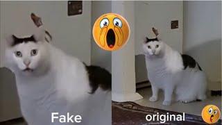 Huh! huh! (fake vs original)