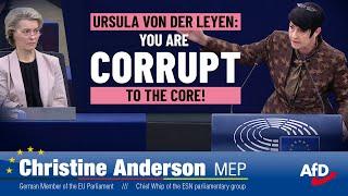 Ursula von der Leyen - You are corrupt to the core!