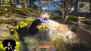 Black Desert Tamer (Beast Master, Мистик) PvP INF Guild (RU)