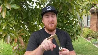 Tips and Tricks! The GREBSTK Crack Weeder Is My Favorite New Tool--- Kevin Hart