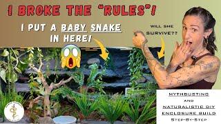 Baby Snake Enclosure Set Up: Why And How To Go BIG (Step By Step Build)