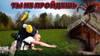 Поход к недостижимой землянке. Столько клещей мы еще не видели. Сибирь