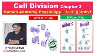 Cell Division || HAP L-10 Unit-1