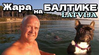 LATVIA. Baltic Sea at sunset | French Bulldog bathing | Family vacation | September 2024