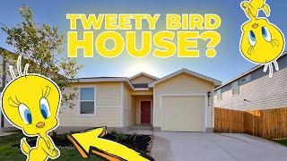 Unique $235K Home – Tweety Bird Inspired?