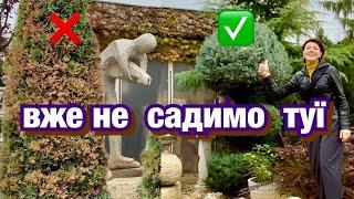 Буду садити замість туй! Невибагливі хвойні для саду