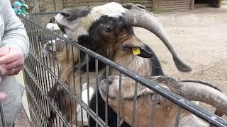 Nadine & Frank on Tour - Unser Besuch im Wildpark Lüneburger Heide Teil 1 - 01.04.21