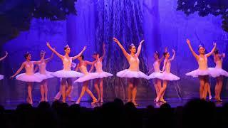 Grand Kyiv Ballet - Forest Song