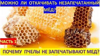 Можно ли откачивать незапечатанный мёд? Почему пчелы не запечатывают мёд?