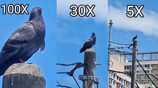 Galaxy S24 Ultra Camera Test - Natural Photography Bird Zoom 