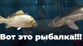 На улитку!!! Здоровые карпы, осетры и толстолобики!!! | Ultimate Fishing Simulator | Вальхензе