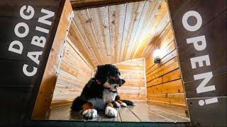 $500+ Sawn Cedar Boards Inside a Dog House? Milled for Free! #217