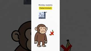 Monkey explains determinism #philosophy #determinism