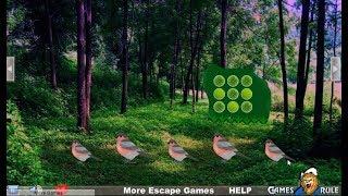 National Enchanted Forest Escape walkthrough Games2Rule G2R.