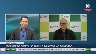 Mercado do boi gordo é favorecido pela escassez de gado magro no Brasil