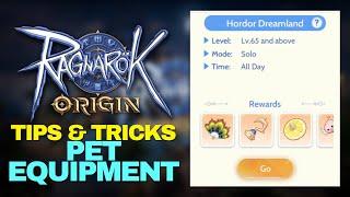 Ragnarok Origin Global Pet Equipment and Divine Power Part 1