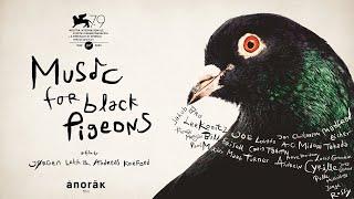 Music for Black Pigeons – International Trailer (Original)