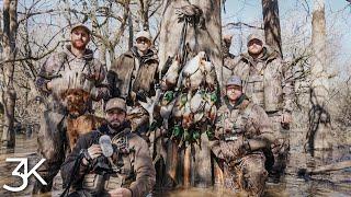 Arkansas Public Land Duck Hunt |  Blue Bird Day