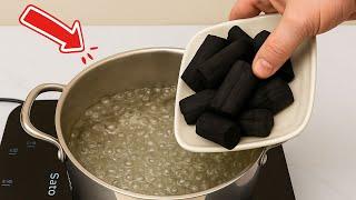 Little-Known Secret: Boil Charcoal and Turn It Into Dollars Every Day!