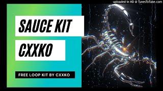 FREE Trap Sample Pack 2020 "Sauce" Cubeatz x Frank Dukes x Pvlace Type Samples | Hard Trap Samples