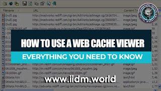 How To Use A Webcache Viewer: Everything You Need To Know | ALEPH-GLOBAL SCRUM TEAM ™