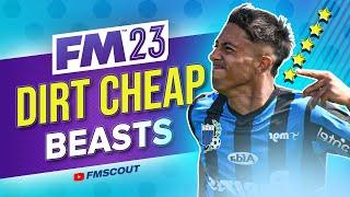 Cheap BEASTS You NEED To Sign In FM23 | Football Manager 2023 Best Players