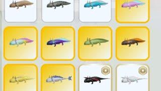 how find all axolotl skins - Roblox Animal Simulator