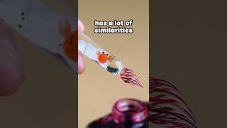 Watch Out for Pen Crabs