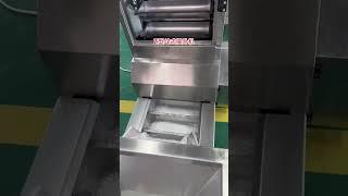 Z bucket conveyor for packing machine