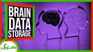 How Much Data Can Our Brains Store?