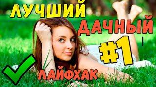 ЛУЧШИЙ ДАЧНЫЙ ЛАЙФХАК В МИРЕ! Совет, как достичь спокойствия на участке