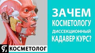 Зачем косметологу диссекционный кадавер курс?