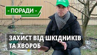 Зимова обробка саду. Викорінююче обприскування плодових дерев зимою від шкідників і хвороб