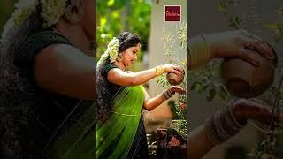 #Tulasi Chalisa#Tulasamma Paata# MyBhakthiTV#devotionalsongs