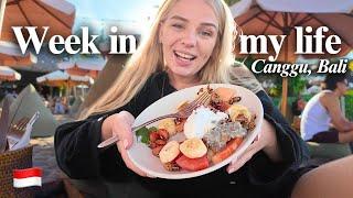 A week in my life living in Canggu, Bali as a digital nomad 