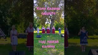 Коли ти в армію ідеш - Ансамбль Родослав #shorts