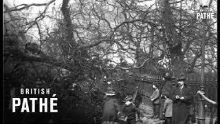 In The Track Of The Great Storm (1916)