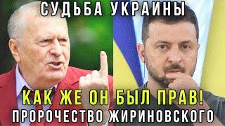 Это надо видеть! Жириновский про Украину и Курскую область - очередное пророчество гения