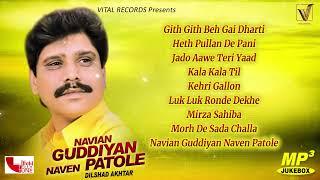 Dilshad Akhtar | Navian Guddiyan Naven Patole | Jukebox | Vital Golden Classic Song