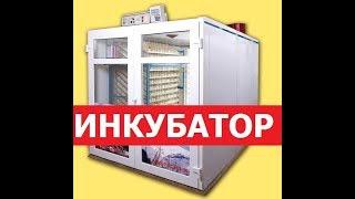 Заработать в деревне. Инкубация