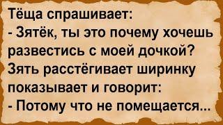 Зяётк, ты почему хочешь развестись с моей дочерью? Сборник анекдотов!